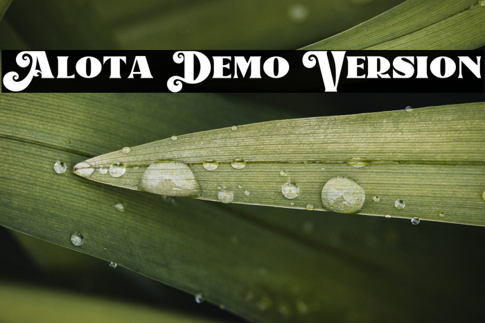 Alota Demo Version Example 3