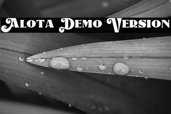 Alota Demo Version Font examples
