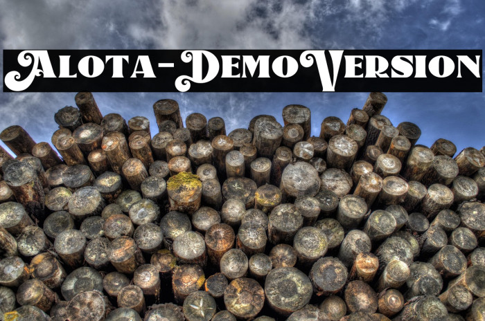 Alota-DemoVersion Example 2