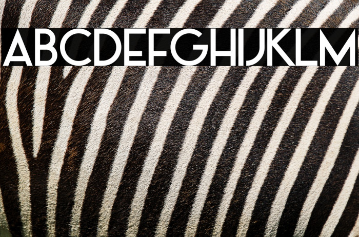 Alpaca Scarlett Demo Example 1