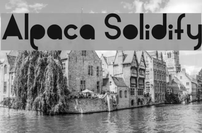Alpaca Solidify Font examples