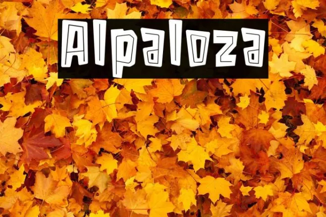 Alpaloza Example 3