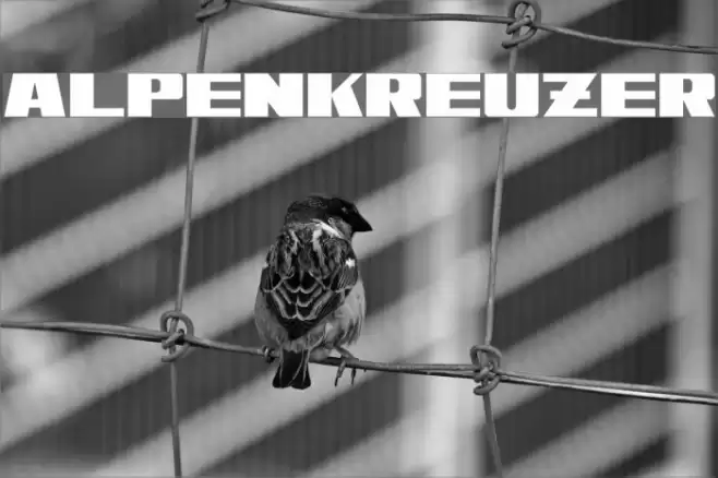 Alpenkreuzer Font examples