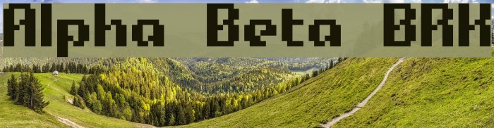 Alpha Beta BRK Polices examples