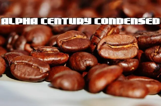 Alpha Century Condensed Example 1