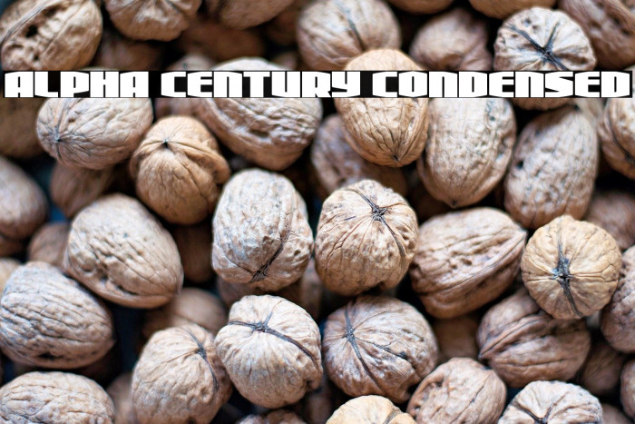 Alpha Century Condensed Example 2