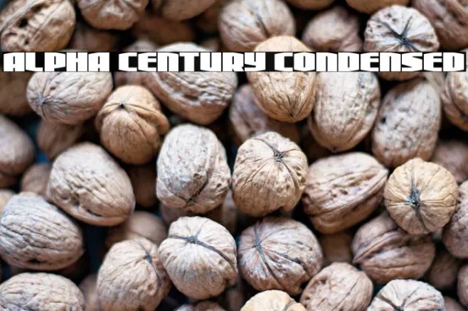 Alpha Century Condensed Example 2