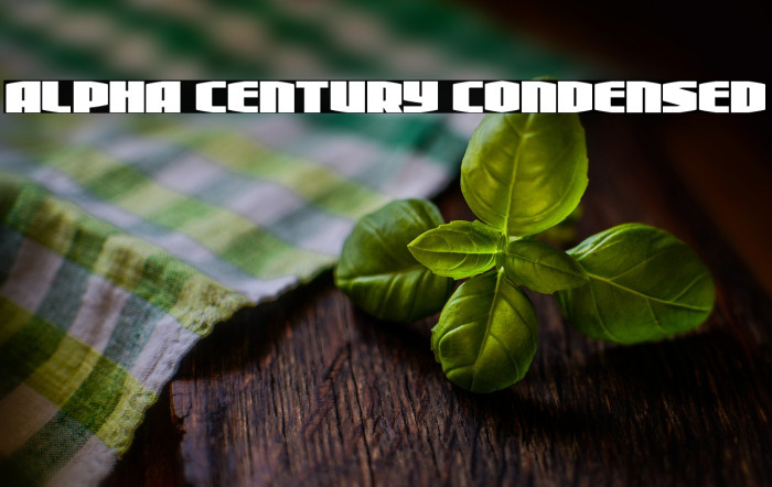 Alpha Century Condensed Example 3