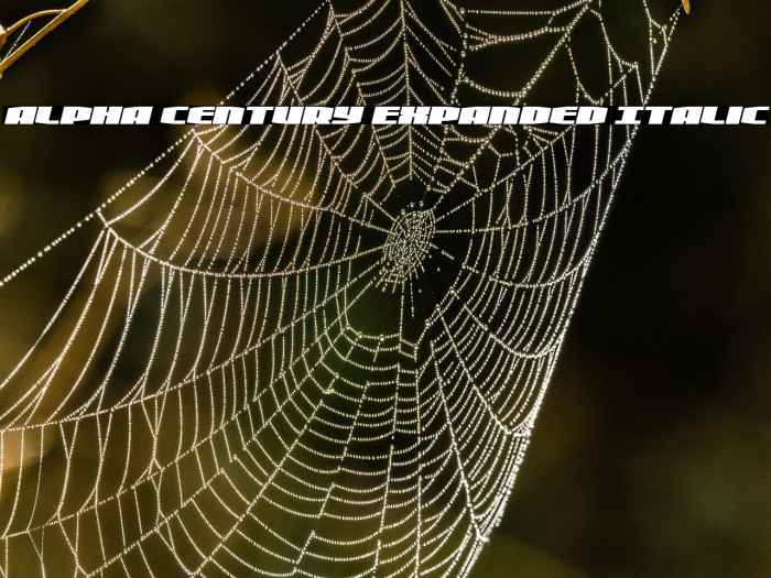 Alpha Century Expanded Italic Example 3