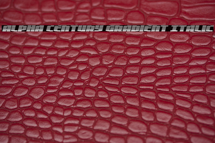 Alpha Century Gradient Italic Example 2
