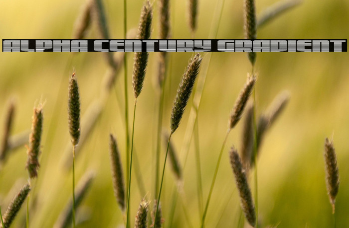 Alpha Century Gradient Example 1