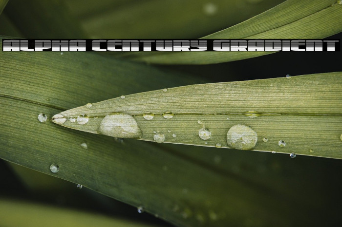 Alpha Century Gradient Example 3