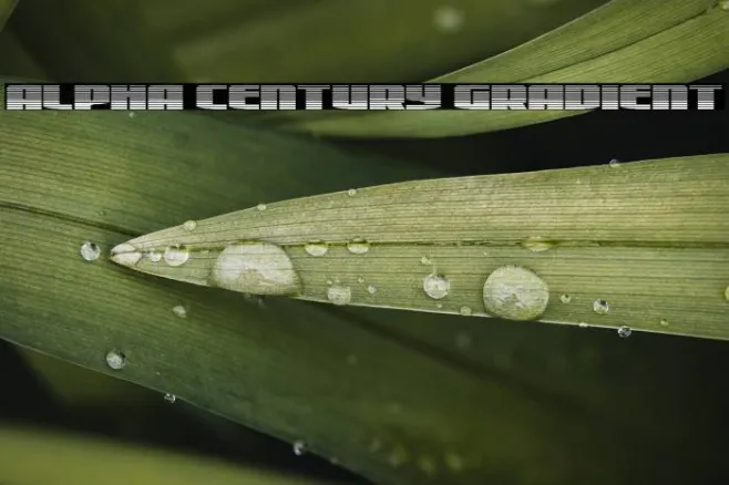 Alpha Century Gradient Example 3