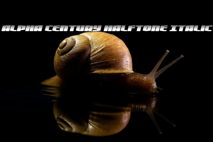 Alpha Century Halftone Italic Example 3