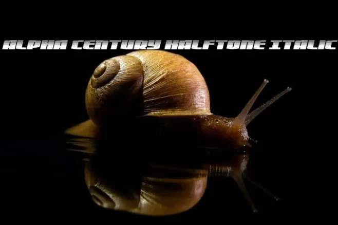 Alpha Century Halftone Italic Example 3