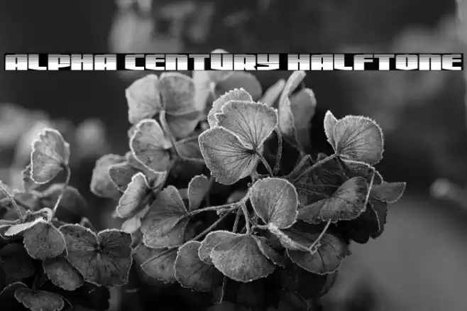Alpha Century Halftone Font examples