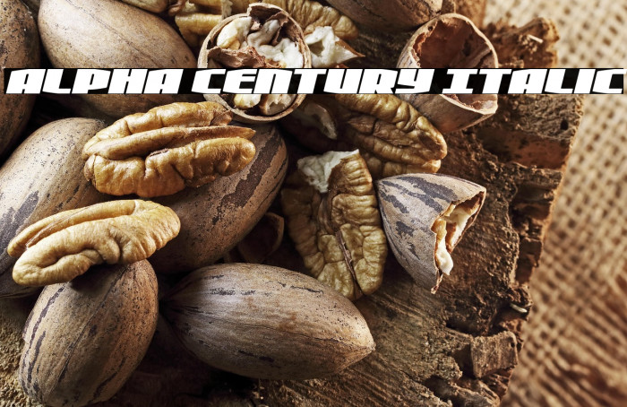 Alpha Century Italic Example 1
