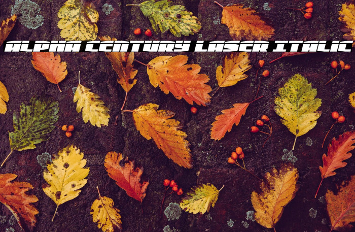 Alpha Century Laser Italic Example 1