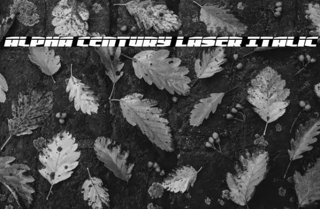 Alpha Century Laser Italic Font examples