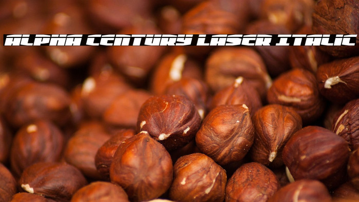 Alpha Century Laser Italic Example 2