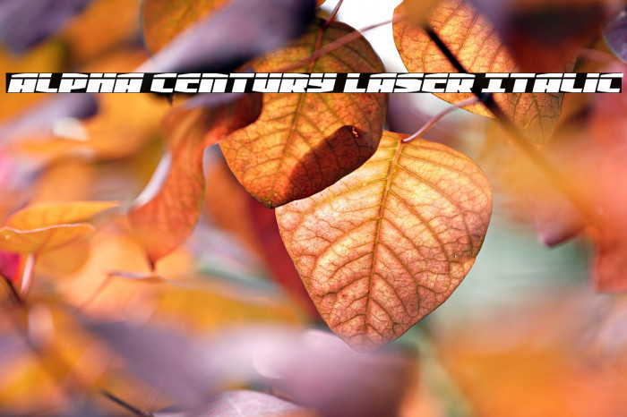 Alpha Century Laser Italic Example 3