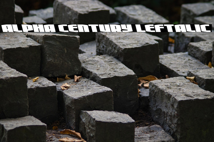 Alpha Century Leftalic Example 2