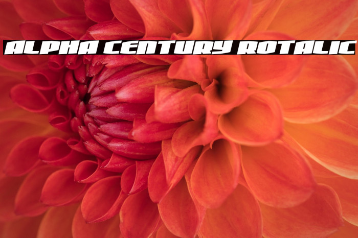 Alpha Century Rotalic Example 3