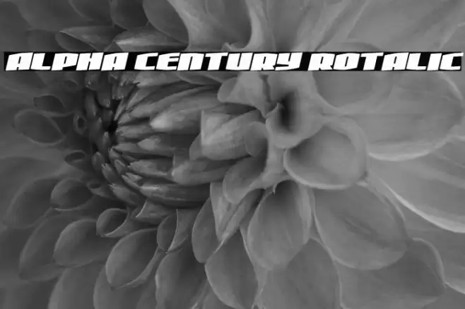Alpha Century Rotalic Font examples