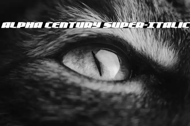 Alpha Century Super-Italic Font examples