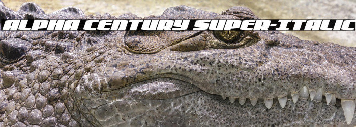 Alpha Century Super-Italic Example 3