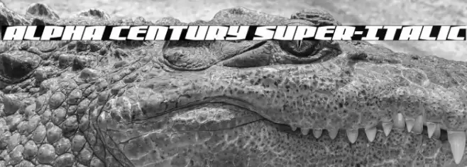 Alpha Century Super-Italic Font examples