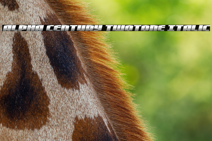 Alpha Century Twotone Italic Example 1