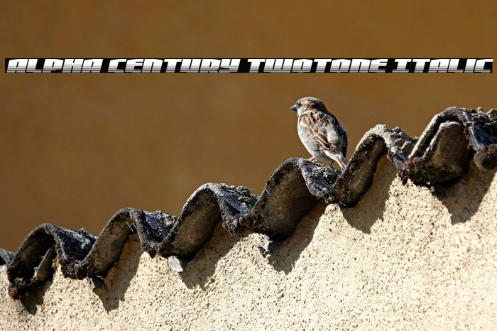 Alpha Century Twotone Italic Example 2