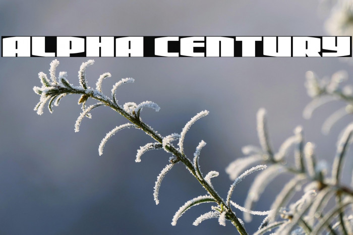 Alpha Century Example 1