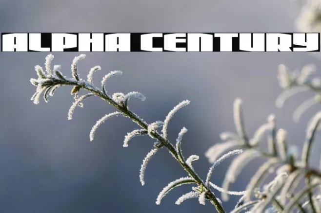 Alpha Century Example 1