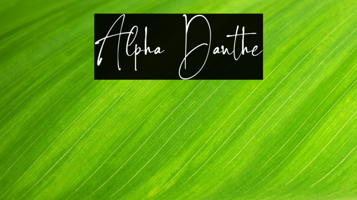 Alpha Danthe Example 2