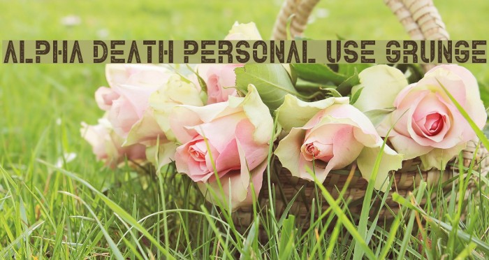 Alpha Death Personal Use Grunge Font examples