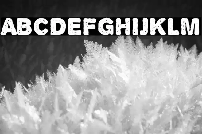 Alpha Echo 字体 examples