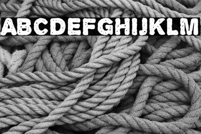 Alpha Echo 字体 examples