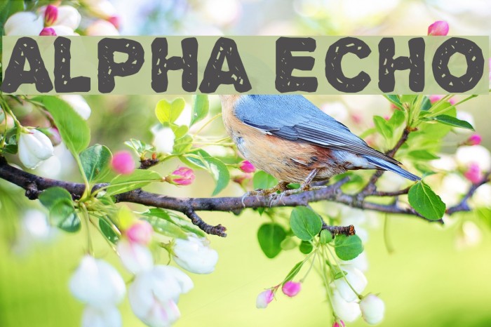 Alpha Echo Font examples