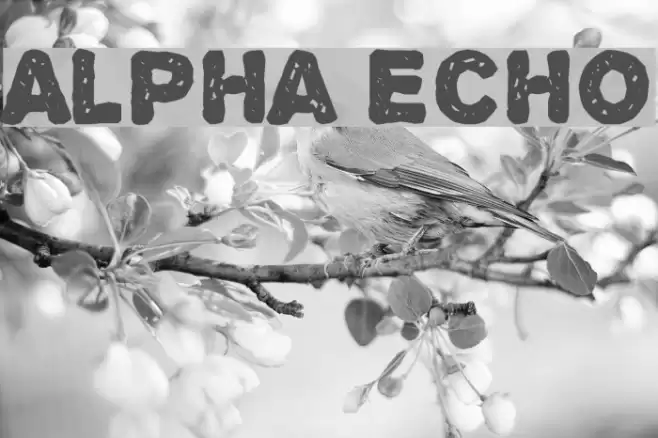 Alpha Echo フォント examples