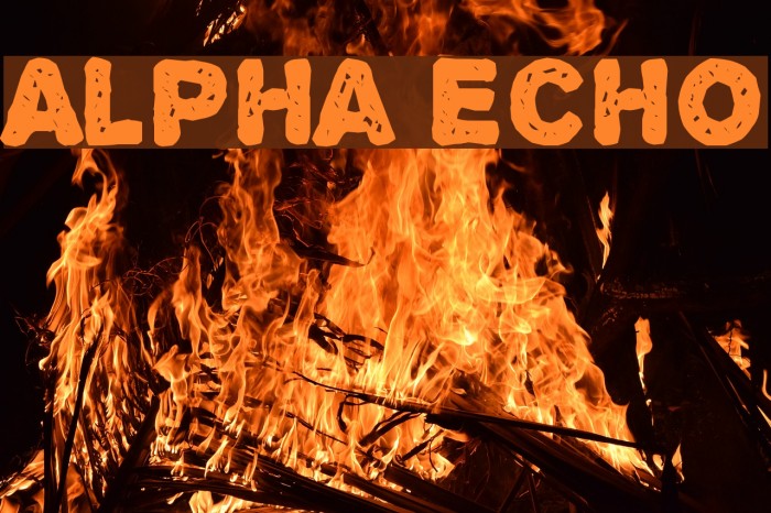 Alpha Echo Font examples