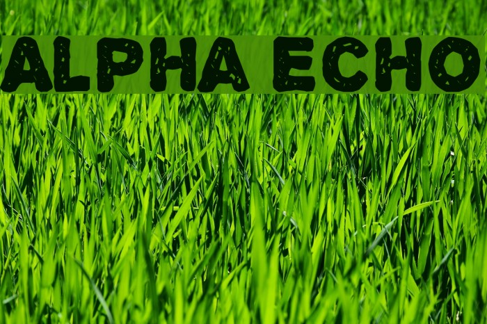 Alpha Echo Font examples