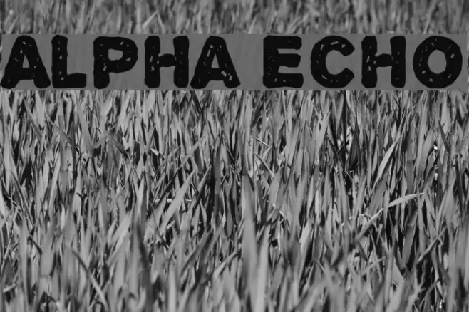 Alpha Echo フォント examples