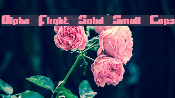 Alpha Flight Solid Small Caps Font examples