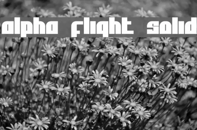 Alpha Flight Solid Шрифта examples