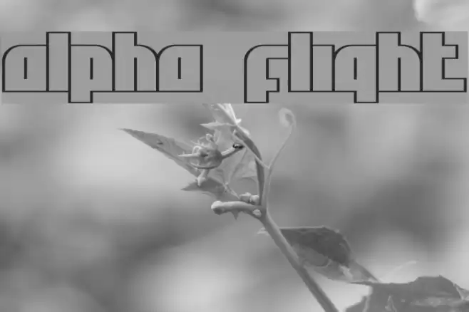 Alpha Flight Fuentes examples