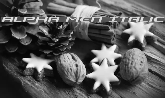 Alpha Men Italic Font examples