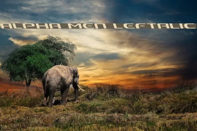 Alpha Men Leftalic Example 2