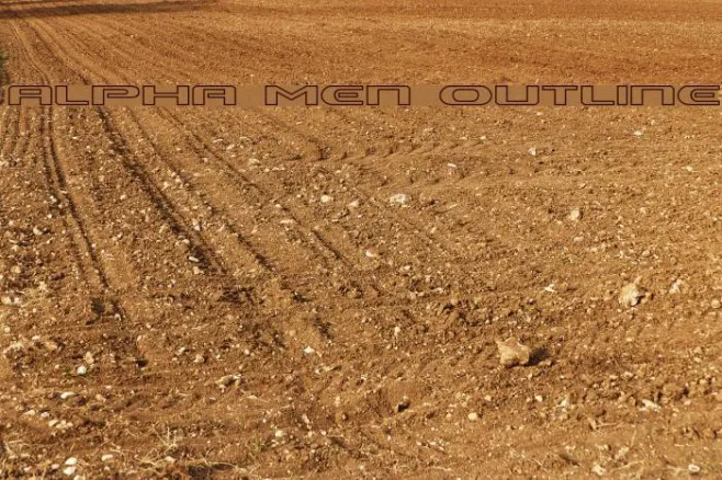 Alpha Men Outline Example 1